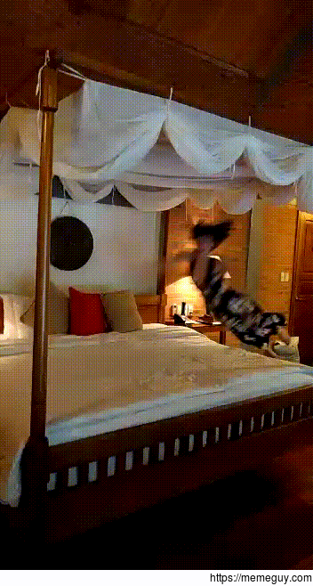 My girlfriend wanted a cool slo mo pic of herself jumping on our four poster bed in Vietnam