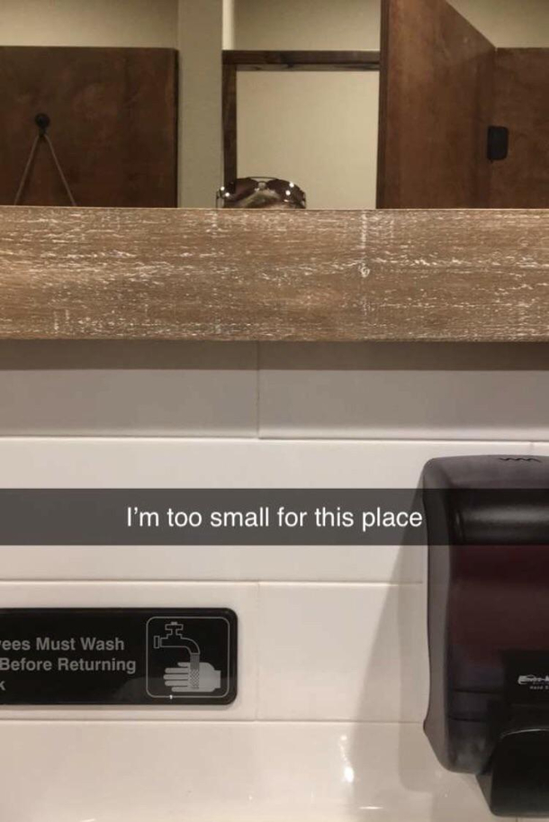 My  girlfriend went to a brewery and sent me this