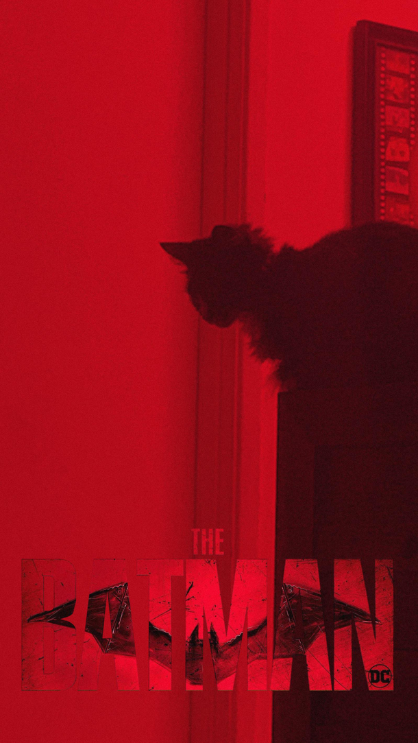 my girlfriends cat is so dramatic