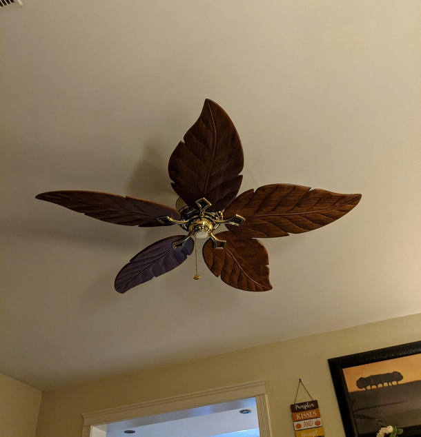 My girlfriends ceiling fan is also a leaf blower