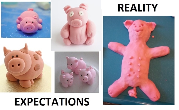 My girlfriends fondant pig