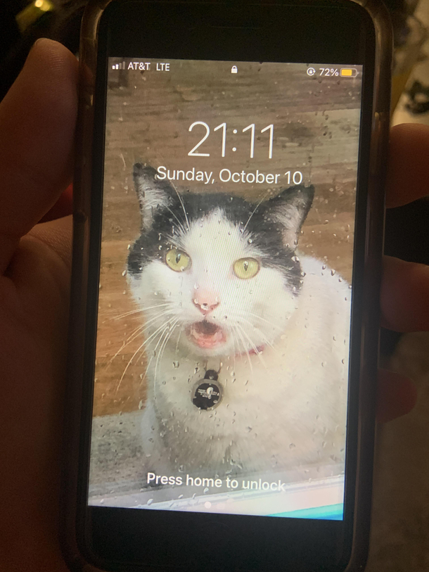 My girlfriends screensaver