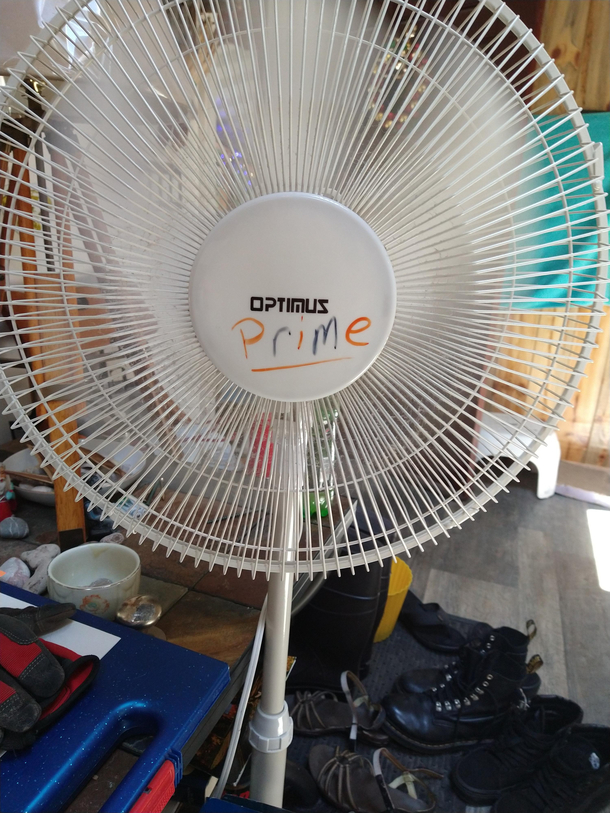 my grandmas fan
