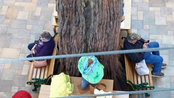 My grandparents were waiting for each other at the shopping mall