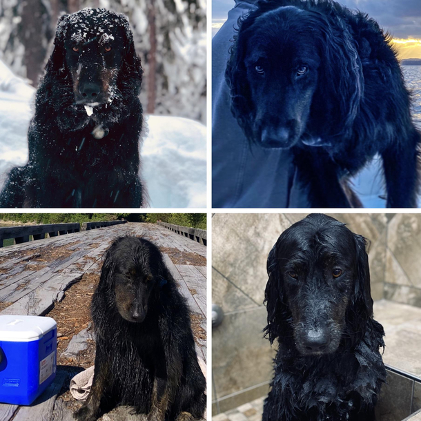 My guy has two looks Annoyed and sad