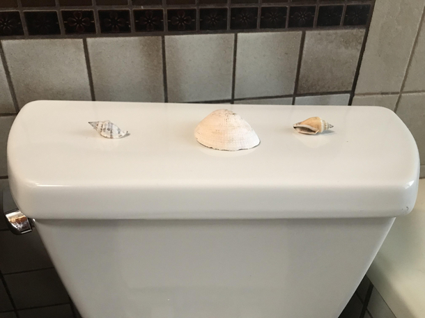 My husband forgot to get toilet paper