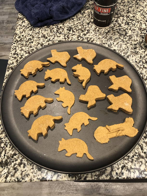 My husband helped me make dog treats
