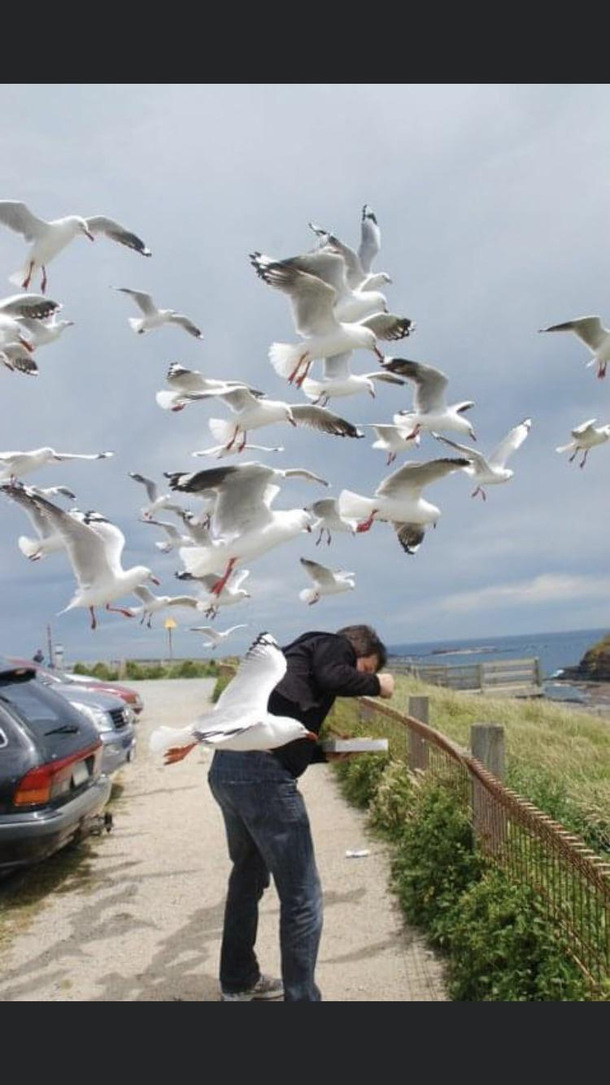 My husband making a dash for the car with our fish and chips