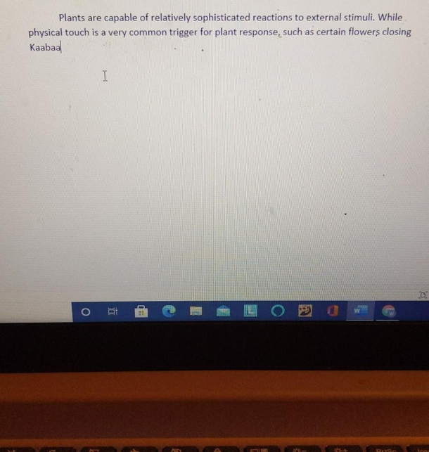 My husband uses talk-to-text to write his school papers This is when he sneezed while writing it 