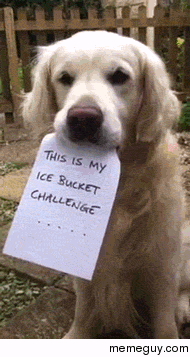 My Ice bucket challenge