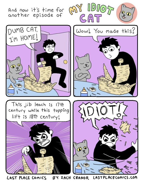My Idiot Cat