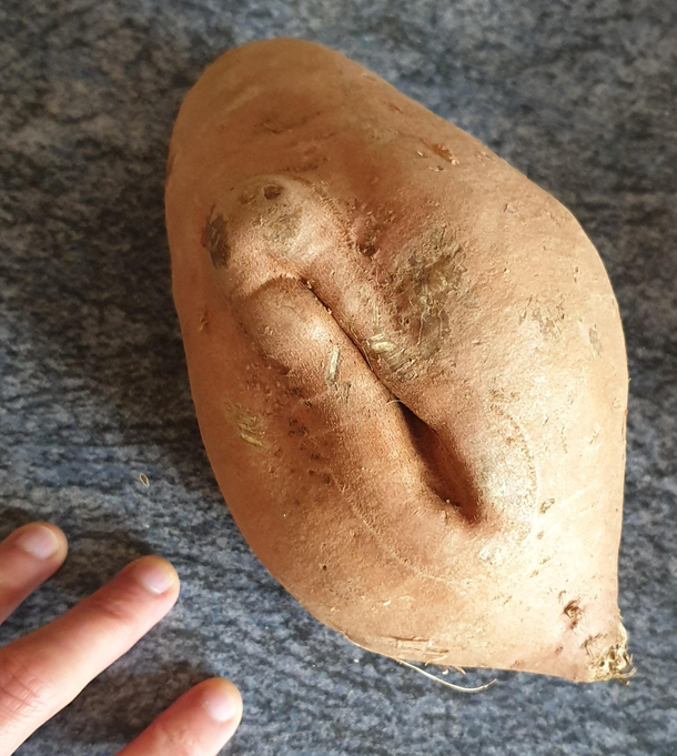 My inlaws dropped off some vegetables earlier 