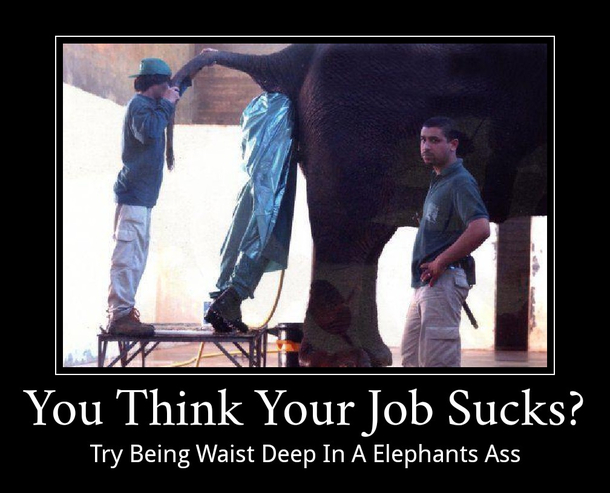 My job is not this bad