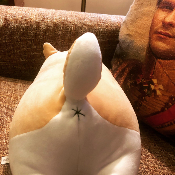 My kid asked for a stuffed Corgi for her birthday It arrived with a butt-hole Just thought you all should know