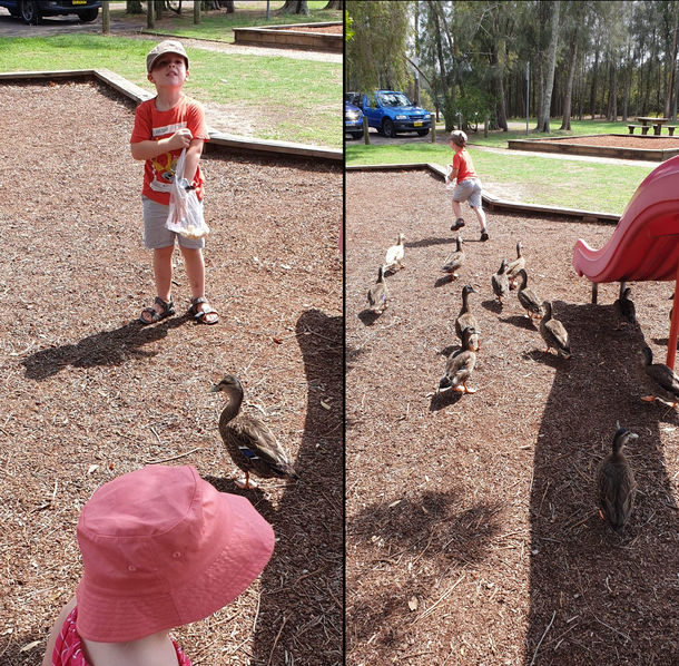 My kid before and after feeding the ducks