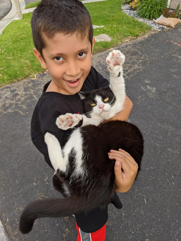 My kid Proud of his pet handling technique My cat 