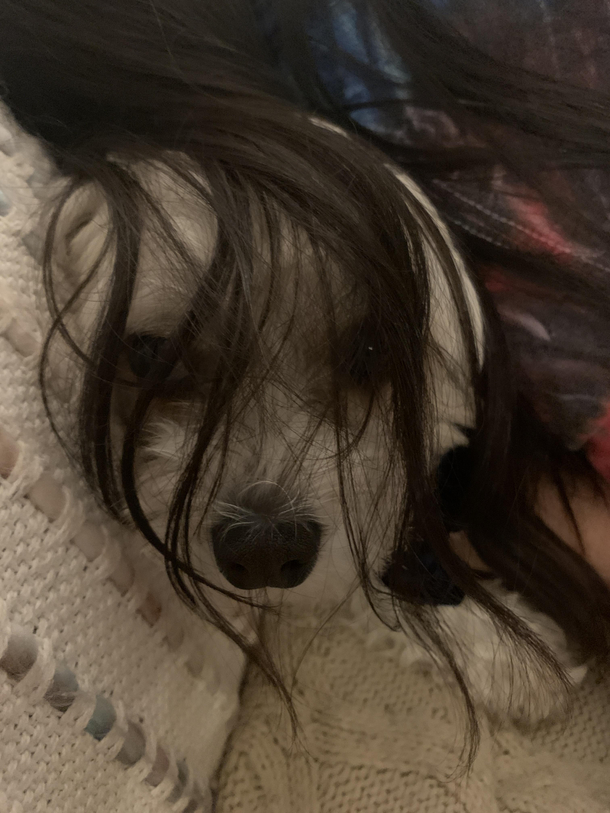 My kid was giving the dog a hug