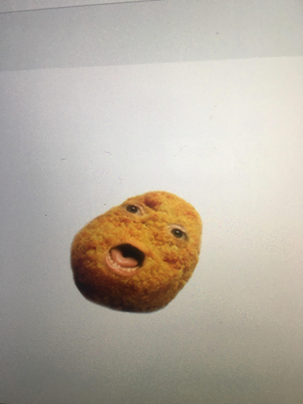 My kiddo came across this picture of a chicken nugget in Roblox and wanted me to post this