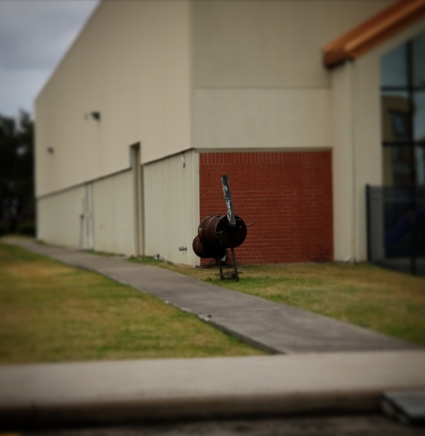 My kiddos were so adamant that we just drove past an ostrich chilling outside a restaurant that we had to double back and investigate