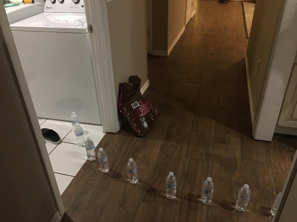 My kids came in and told me there was water coming from the laundry room They said it looked like it started at the washer I rushed in to find this Buncha comedians in my house