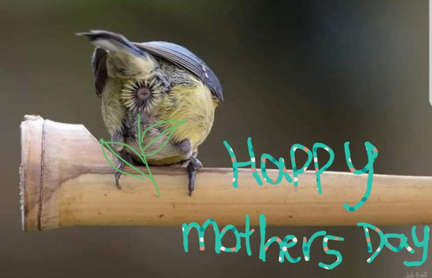 My kids made me a Mothers day card