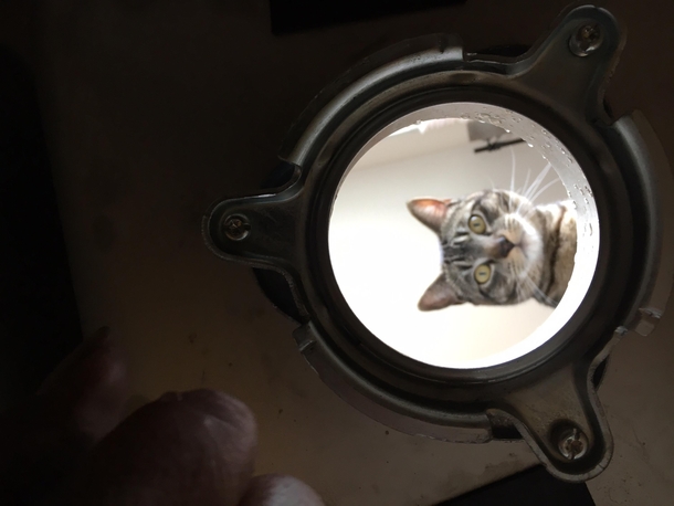 My landlord was replacing our sink and sent me this