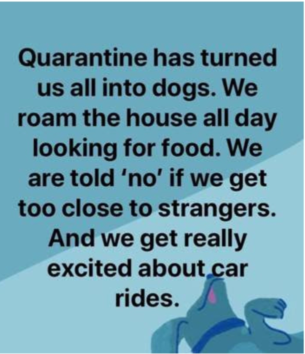 My Life as a Dog