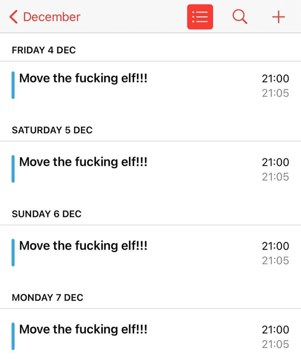 My life for the next  days 