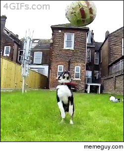 My life in a gif