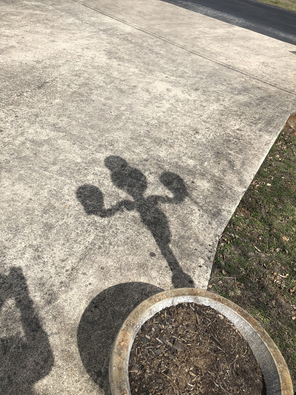 My light post shadow looks like the candlestick from Beauty and the Beast flexing