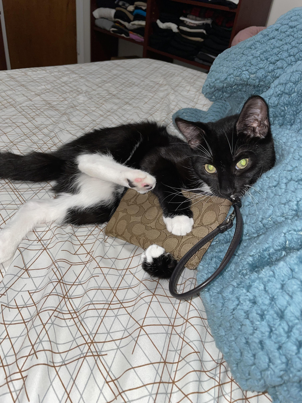 My likkle wallet thief