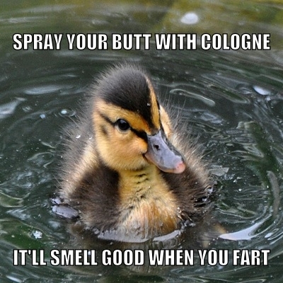 My little cousin dropped this on me today Introducing Almost Advice Mallard