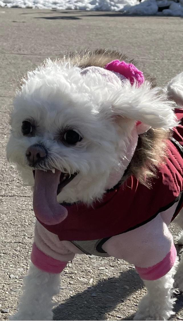 My little monster