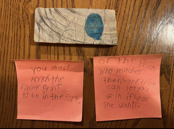 My little nephew created a biometric technology for securing his fort access