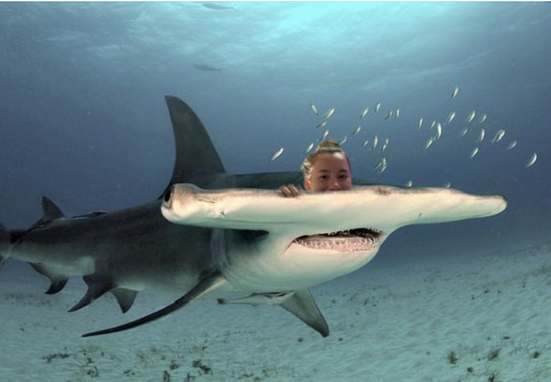 My little sister is going to college for marine biology in the fall sharks are her favorite She believes her photoshopping skills should get more credit than they do