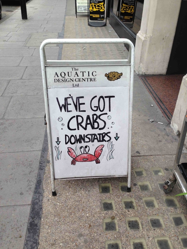 My local Aquariums twisted sense of humour