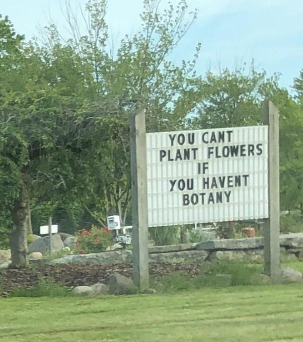 My local nursery went full dad joke