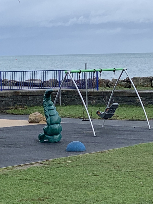 My local park is sponsored by bad dragon dildos