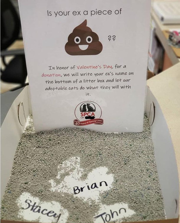 My local pet shelters idea of a nice valentines celebration pic courtesy of their Instagram