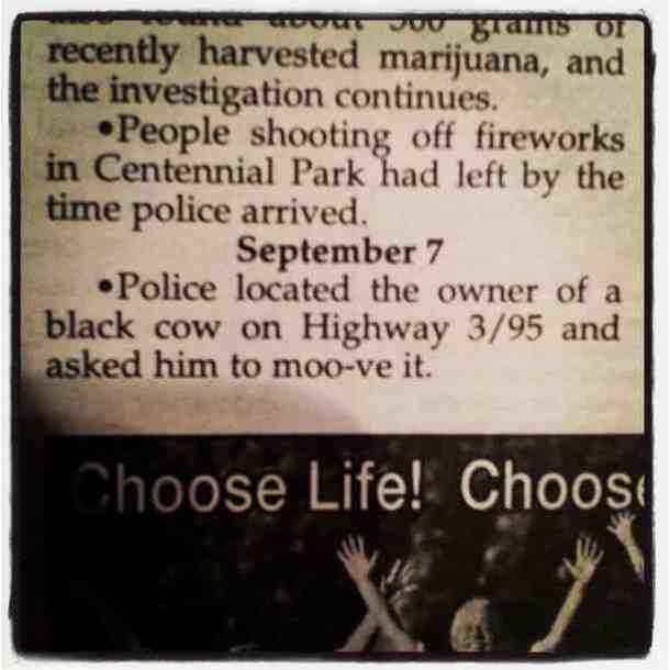 My local police report