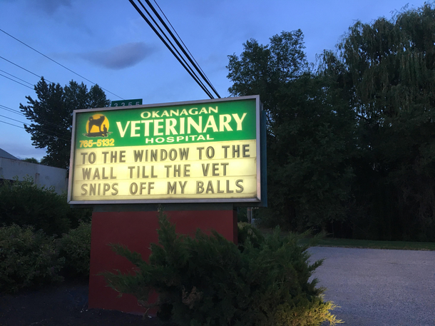 My local vet shop always has puns on their sign but this one took the cake 