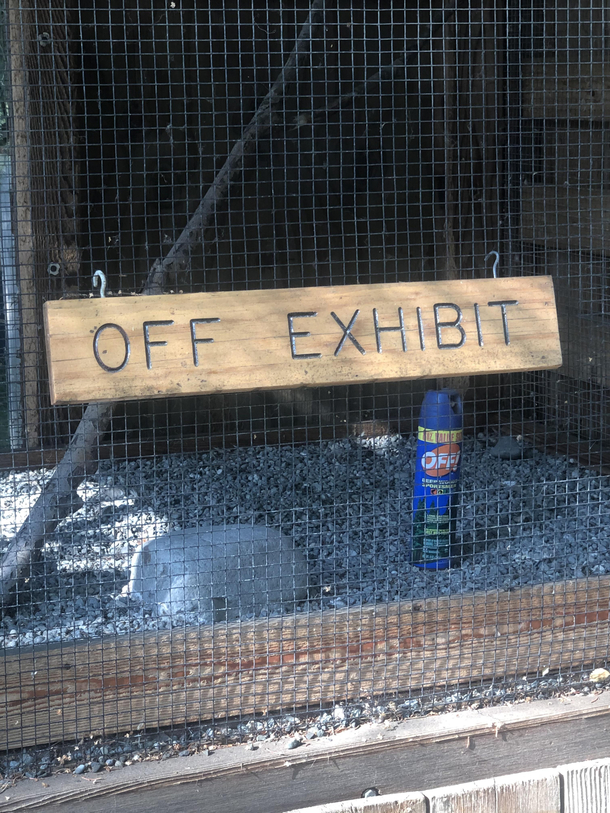My local zoo is getting cheeky with some of its exhibit closures due to the virus