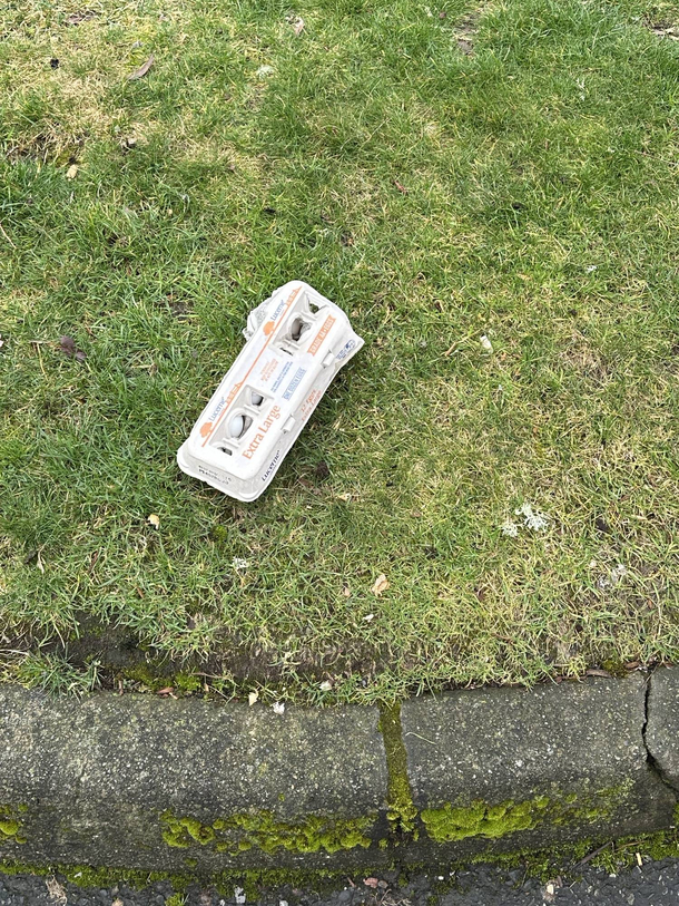 My lucky day Some left  on the ground today