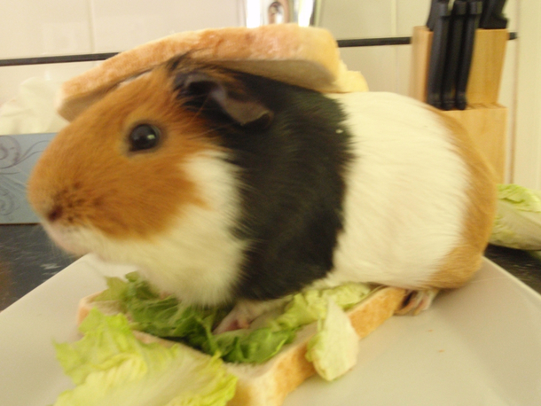 My lunch today