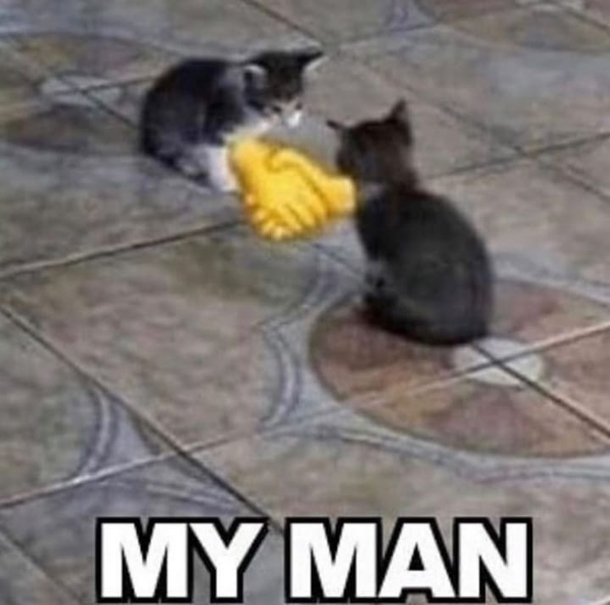 My Man