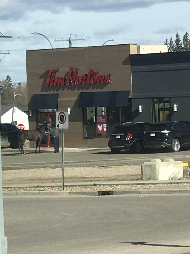 My man pulled up in horse for some coffee