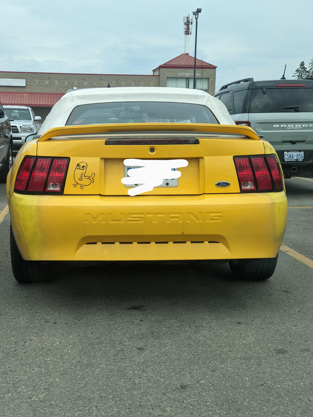 My man Spotted in Guelph Ontario