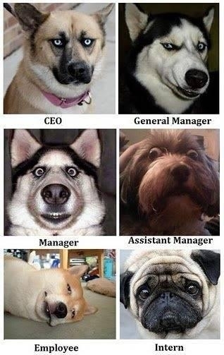 My manager didnt think it was funny 