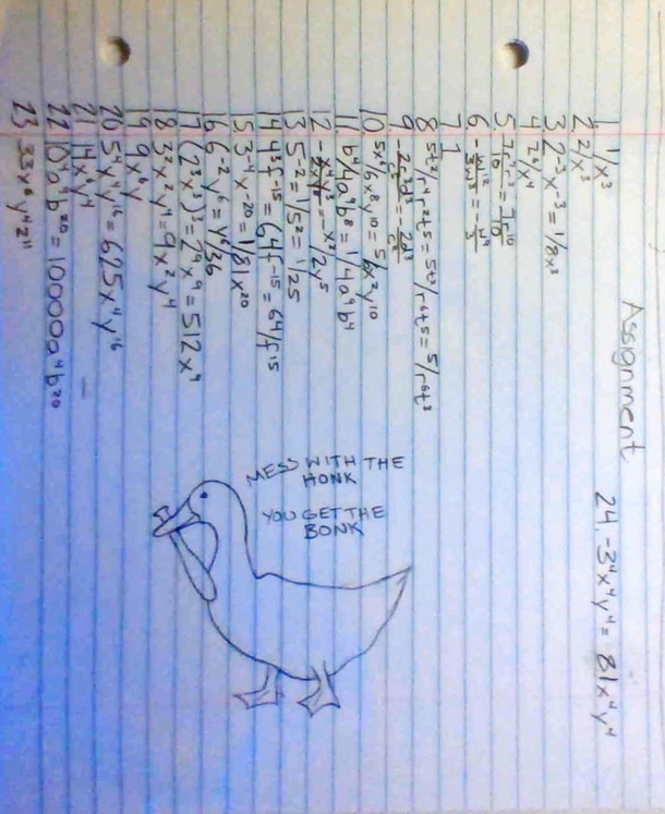 My math teacher said that we needed to draw a duck on our assignment to receive credit so this is what I made