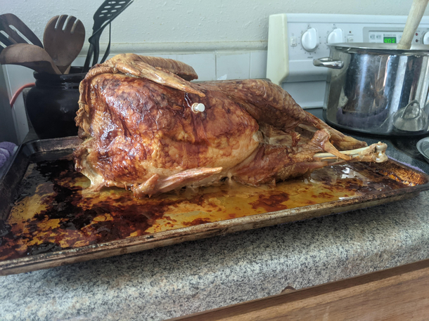 My mom baked the turkey like one of her french girls